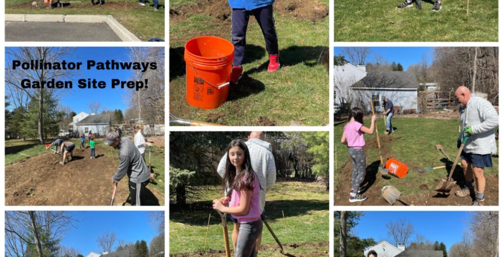 Pollinator Pathways Garden Site Prep 4-26-23